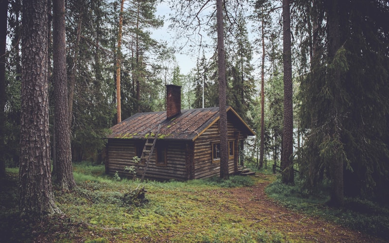 Off-Grid Cabin